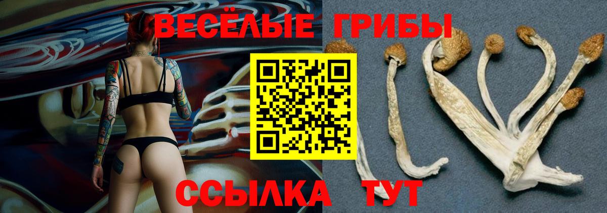 Псилоцибиновые грибы прущие грибы Жуковский