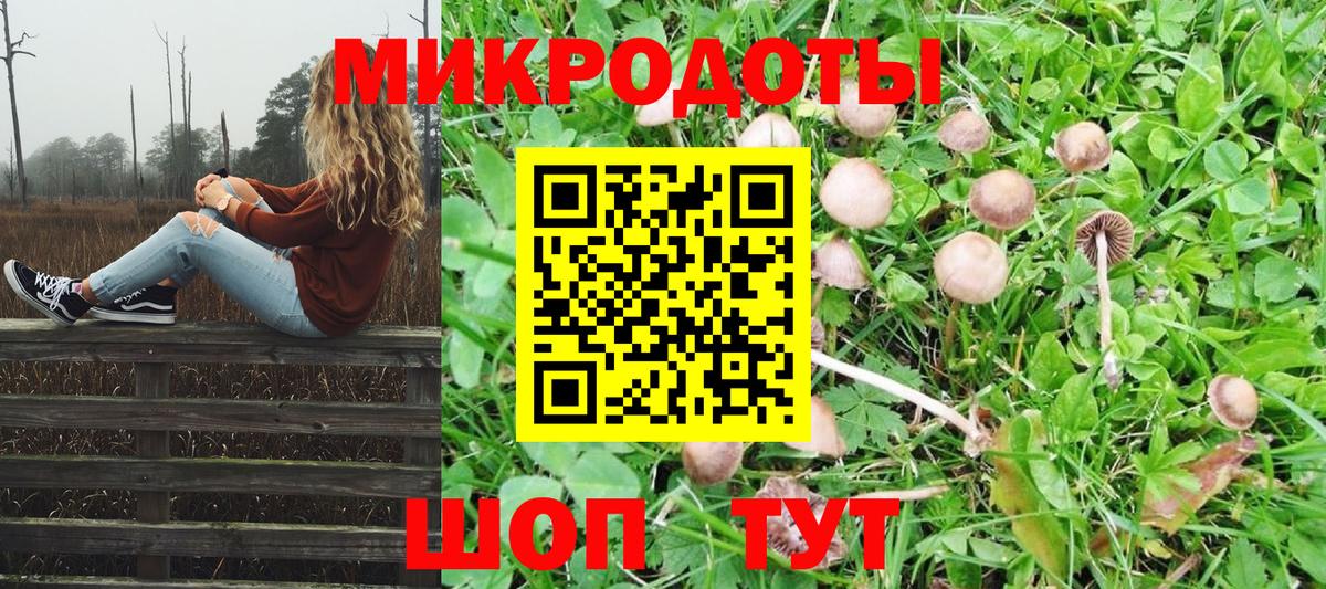Жуковский  Галлюциногенные грибы ЛСД  Вход с VPN 